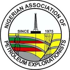 NAPE Logo